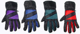 STANDARD SKI SNOWBOARD SNOW GLOVES ADULT